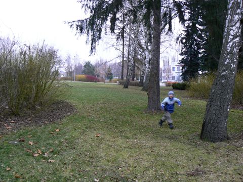 Foto 91